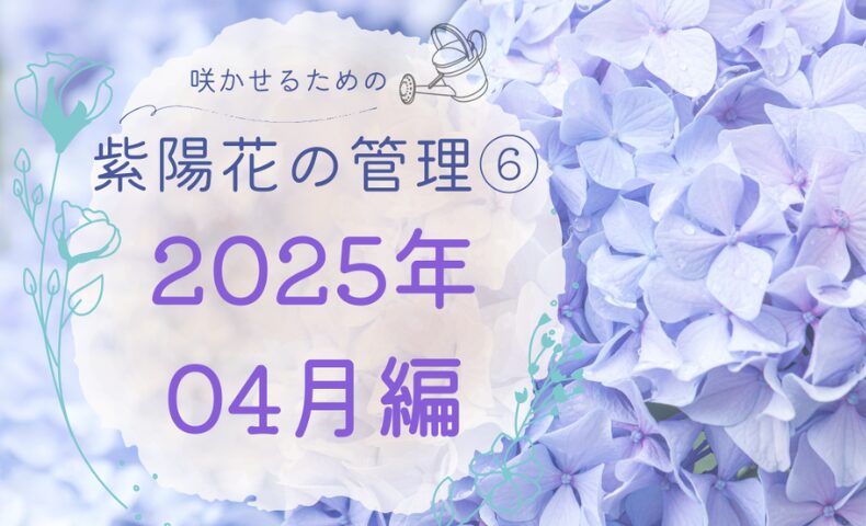 紫陽花の監理日誌2025年4月のアイキャッチ