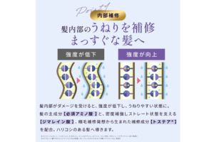 ストレインの成分が内部を補修するイメージ画像